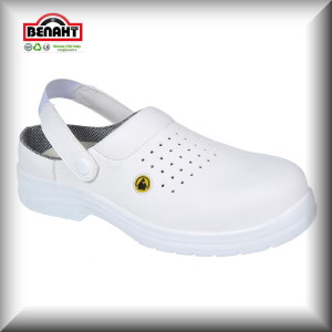 Colore: Bianco
