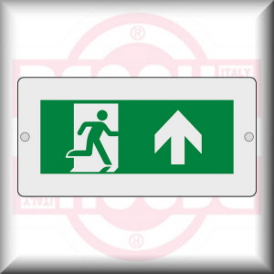DIMENSIONE E MATERIALE: cm 30x15 - PLEXIGLASS OPALINO A PARETE