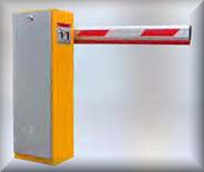 Colore: argento/ giallo